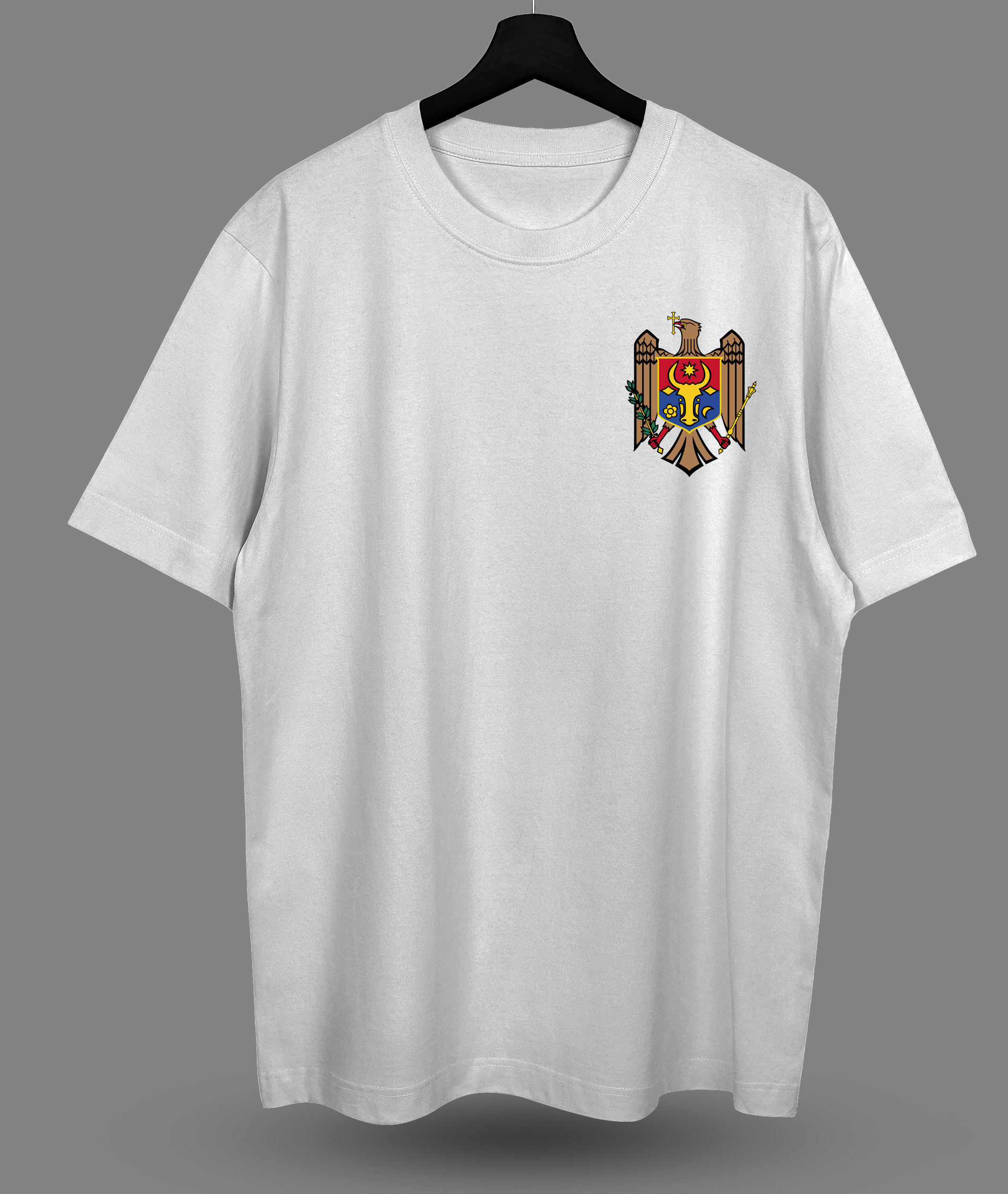 Футболка с принтом "Steag Moldova"