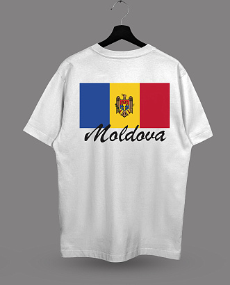 Футболка с принтом "Steag Moldova"
