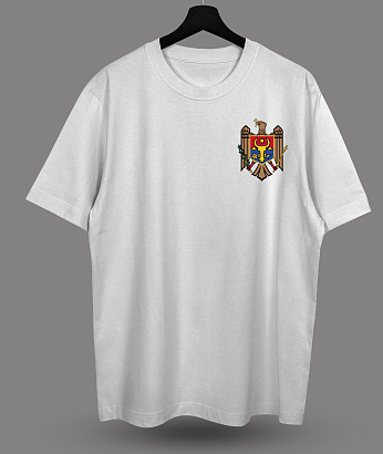 Футболка с принтом "Steag Moldova"